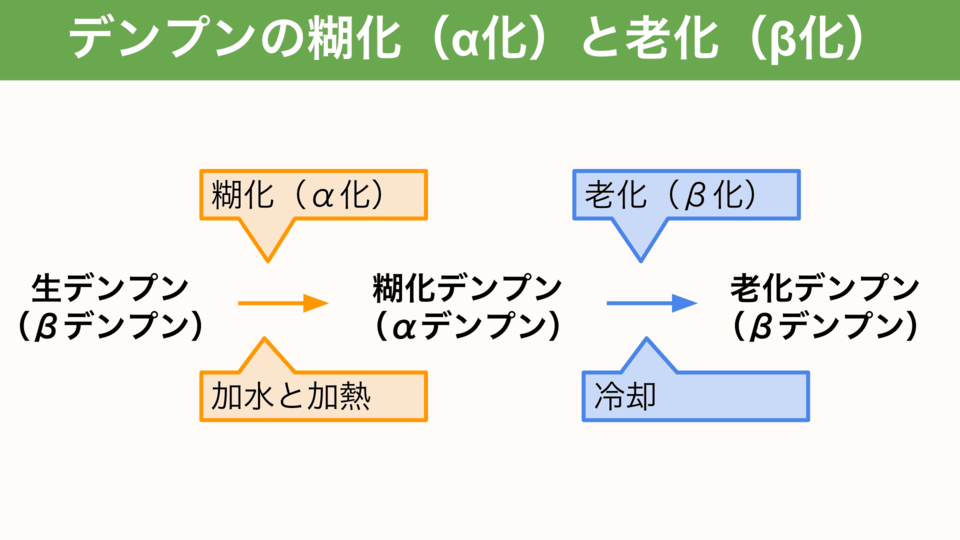 デンプンの糊化 A化 と老化 B化 とは パン作りでの役割は パン職人の朝は早い